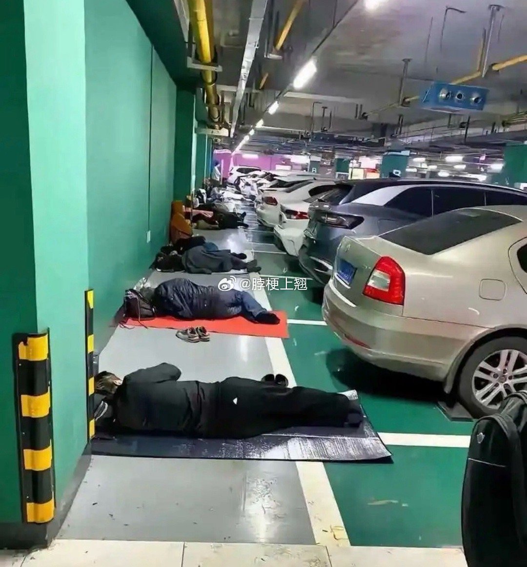 这些是出租司机吗，他们为什么不在车上睡？ 