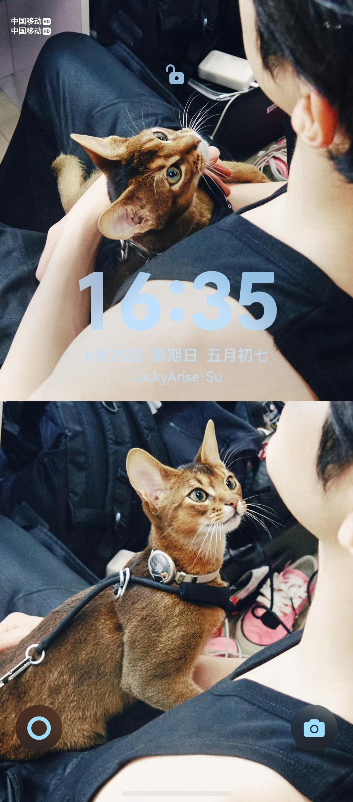 好喜欢我新壁纸