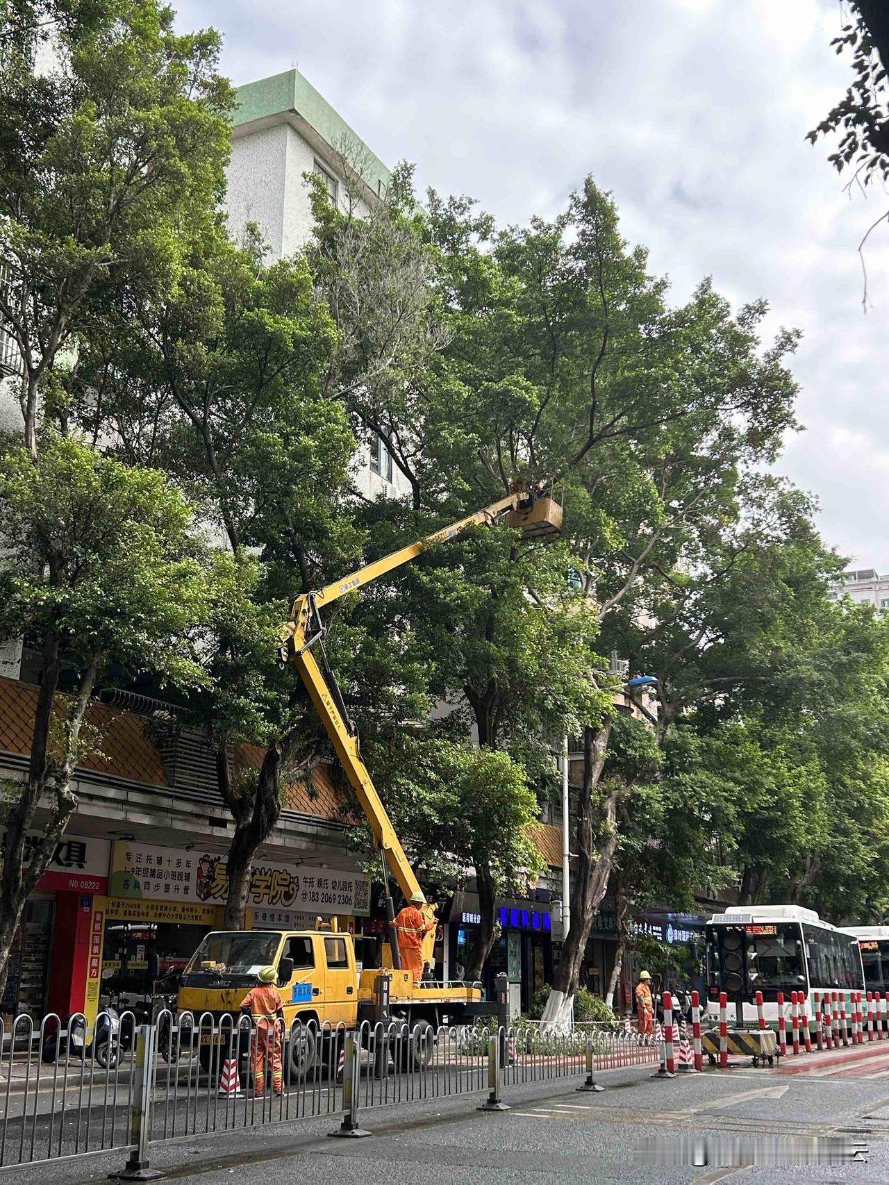 很多人做过的都知道，快递分拣这个工作超级操蛋磨人，这不是一般牛马可以能干得了的活