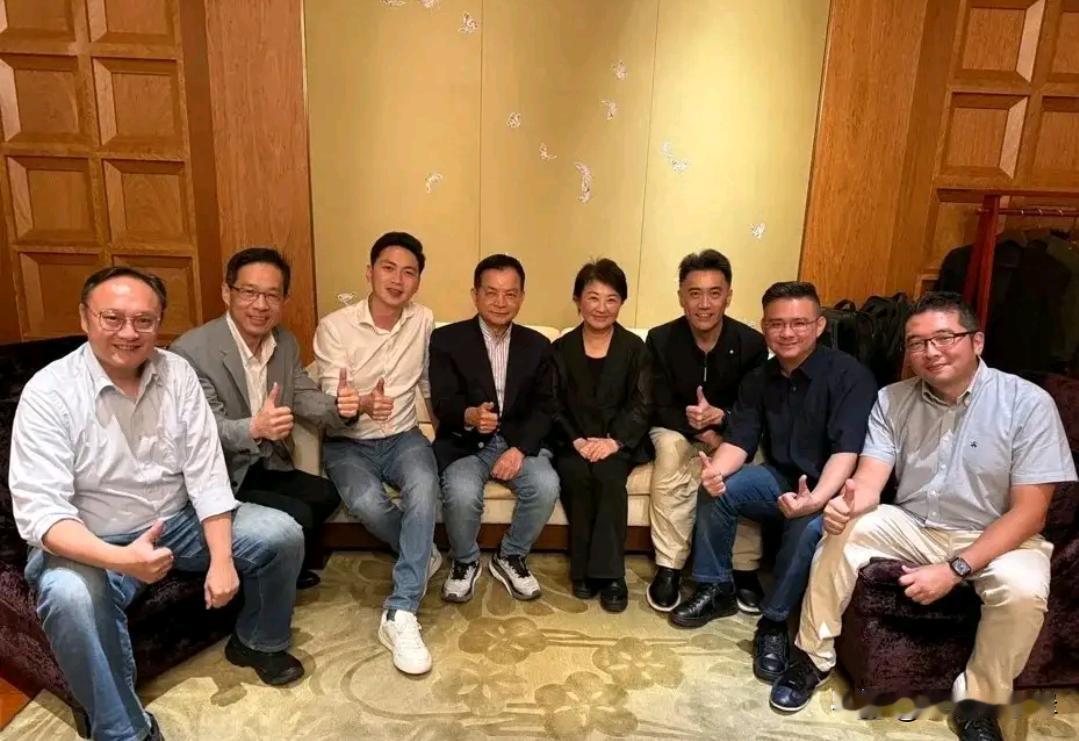 绕开郑丽文和傅崐萁，卢秀燕为何选择连夜见蓝营民代谈无人机

不久前绿营当局推出2