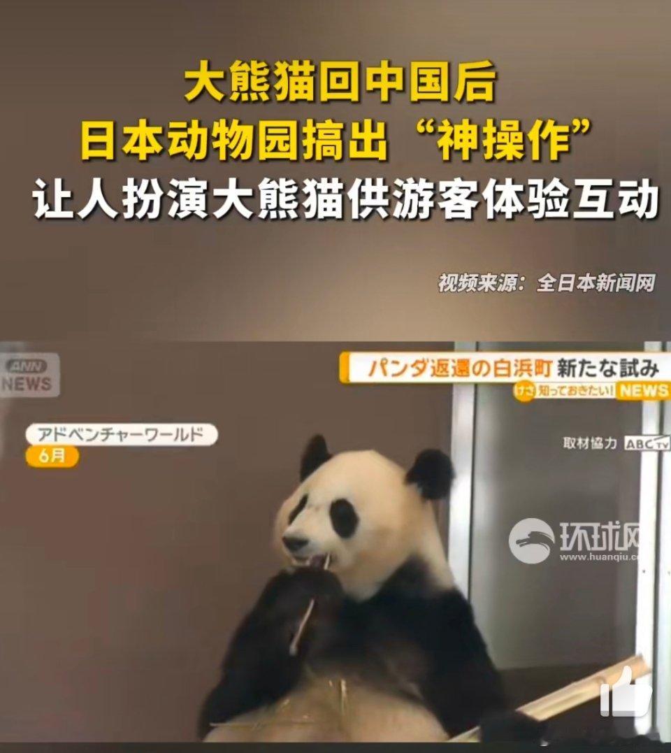 日本推出人扮大熊猫游客体验活动可以理解，但不支持熊猫的可爱不是人可以随意模仿的喜