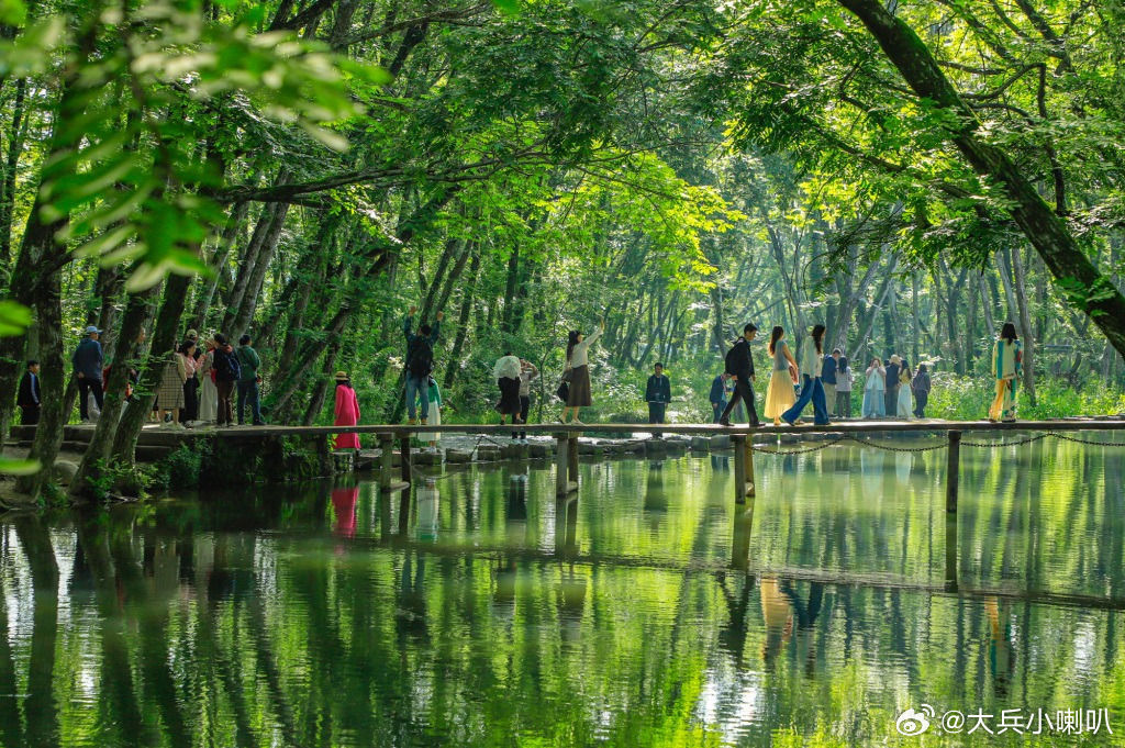 情感社区 【美丽家乡 安徽黄山——皖南秘境 绿野仙踪】       地处安徽黄山