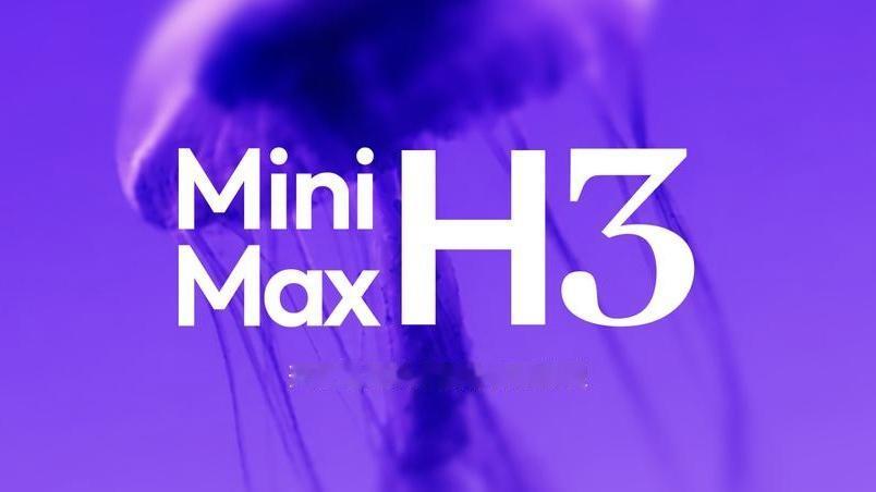 MiniMax H3开源，摩尔线程、壁仞、海光同日完成适配

正文：

8月3日