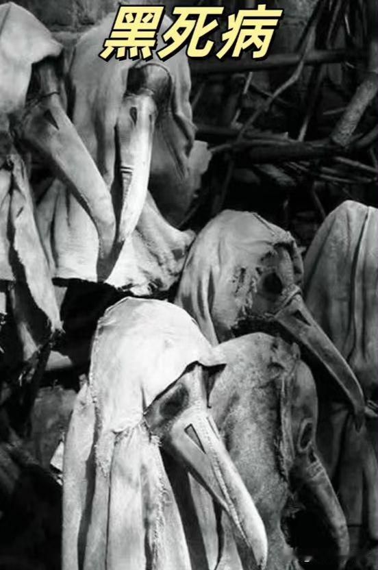 鼠疫，Black Death，中世纪末期的瘟疫，最早爆发于中亚，蒙古西征时将病患