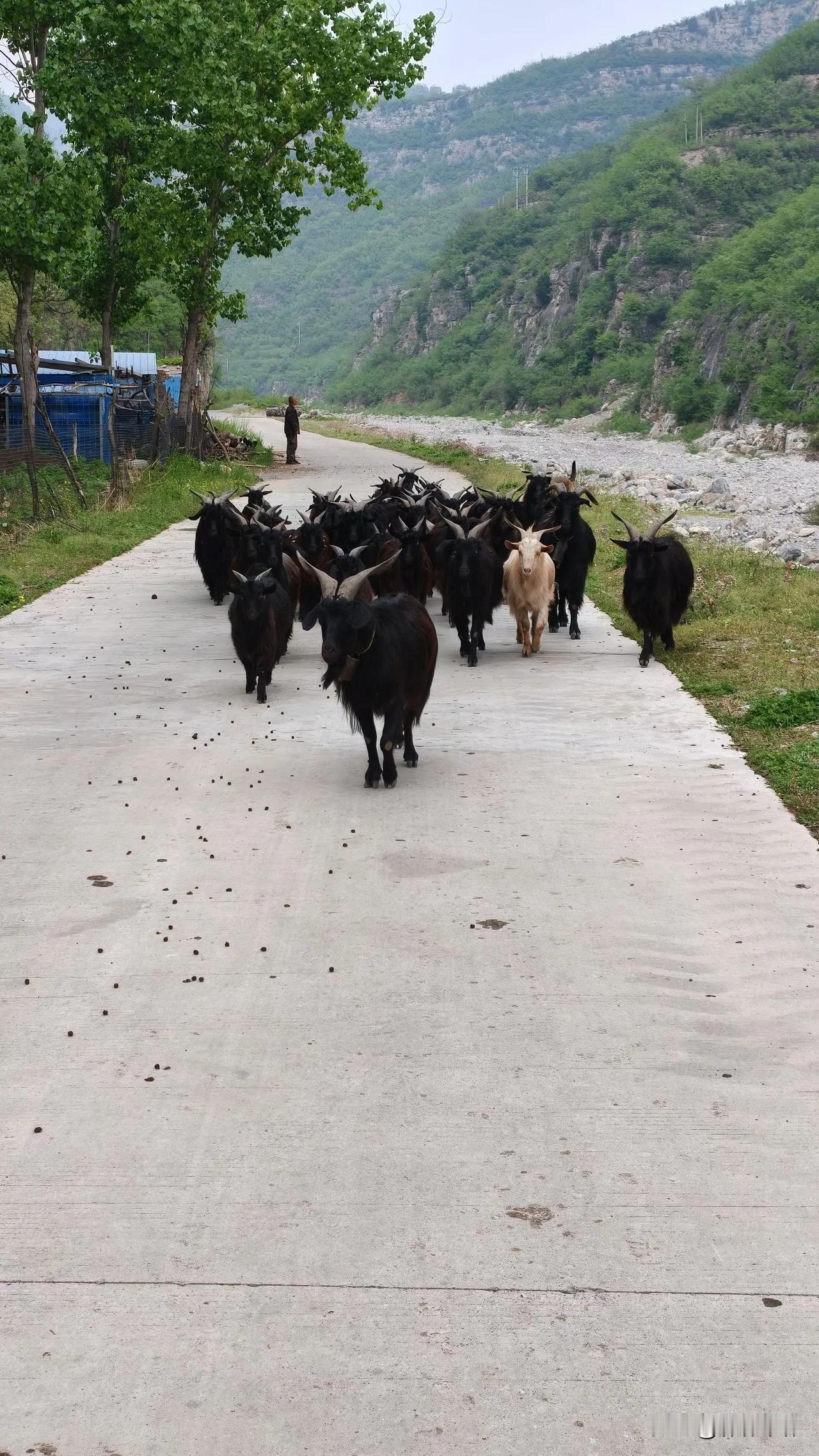 这事咋这么蹊跷？

原来我在服装厂做工，一个女孩来一个星期都不知她是个哑巴，长的