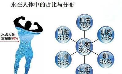 为什么人体七成成分都是水，却没有内置储水箱，还在不停持续失水？我们这群称霸地球的