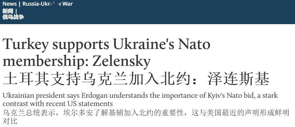 找到新靠山？泽连斯基：乌克兰+土耳其=“欧洲最强军队”
 
眼看被特朗普当成“弃