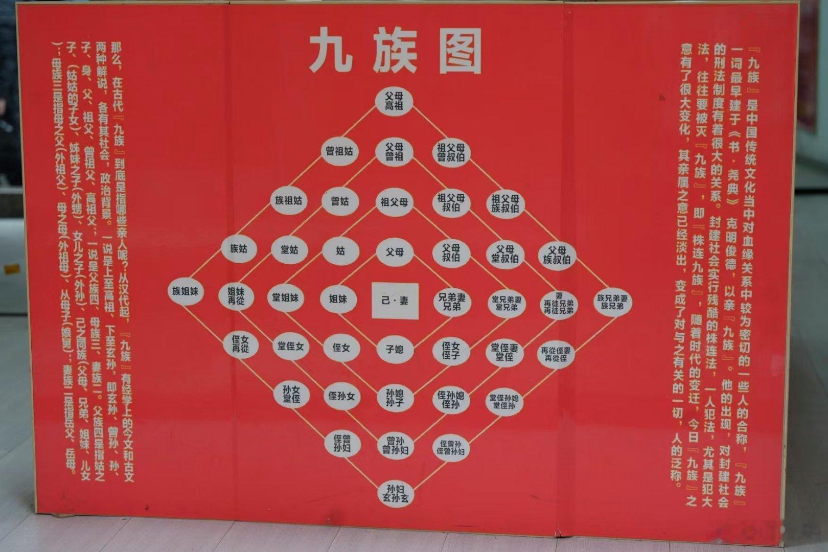 来看看九族消消乐，指的是哪九族[doge] 