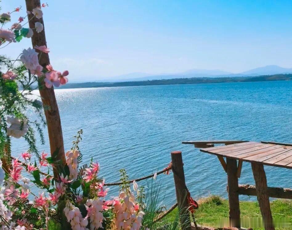 河南夏日的浪漫，被陆浑水库承包了🌊不用远赴大理，郑州 2h、洛阳 1h 直达的
