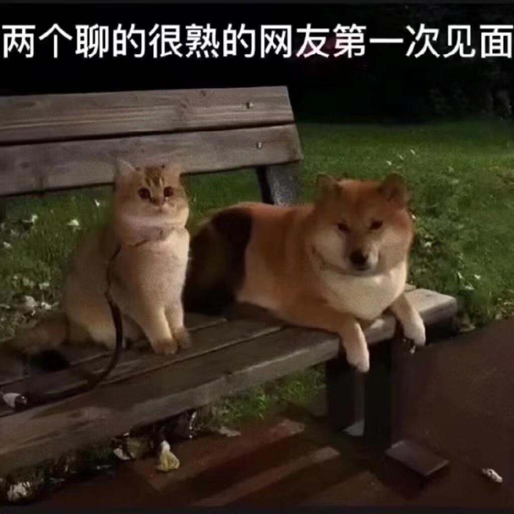 #当代人面基现状#  当两个聊得很熟的网友见面，最熟悉的陌生人 ​​​