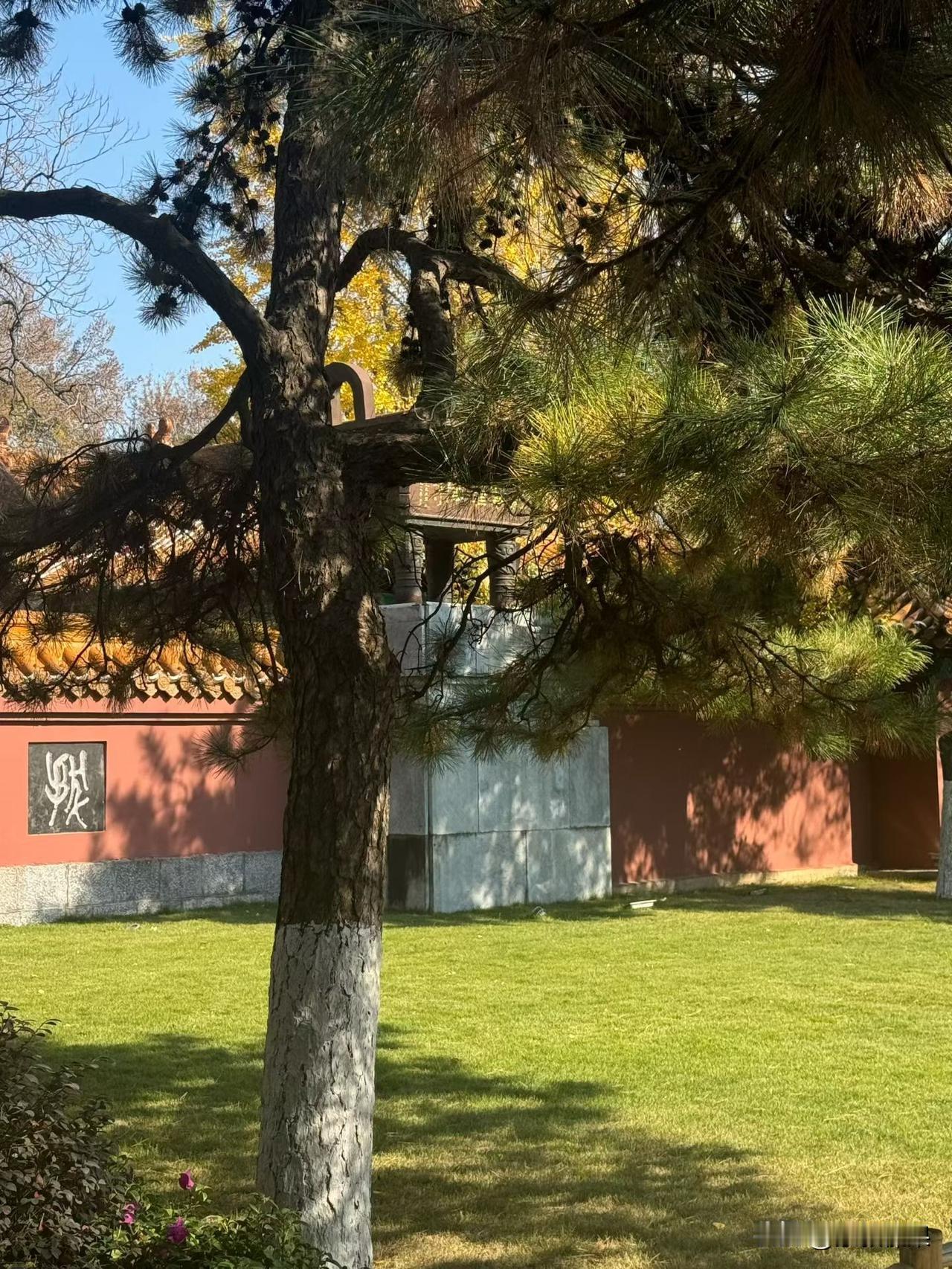 邻居儿子，彻底躺平了？31岁，失业后，刚开始还投简历，找工作，总是觉得新工作不如