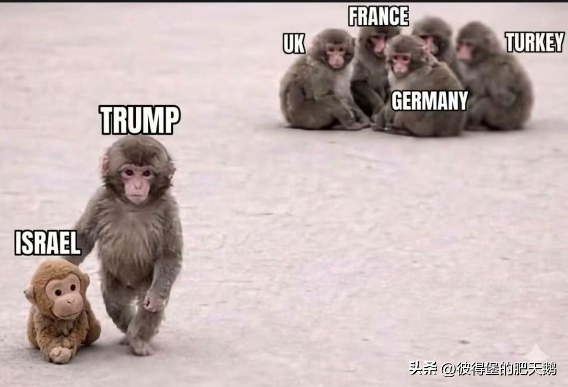 看图说话……

4秒懂的都是懂国际政治的。
#美以伊冲突# #海外新鲜事# #热