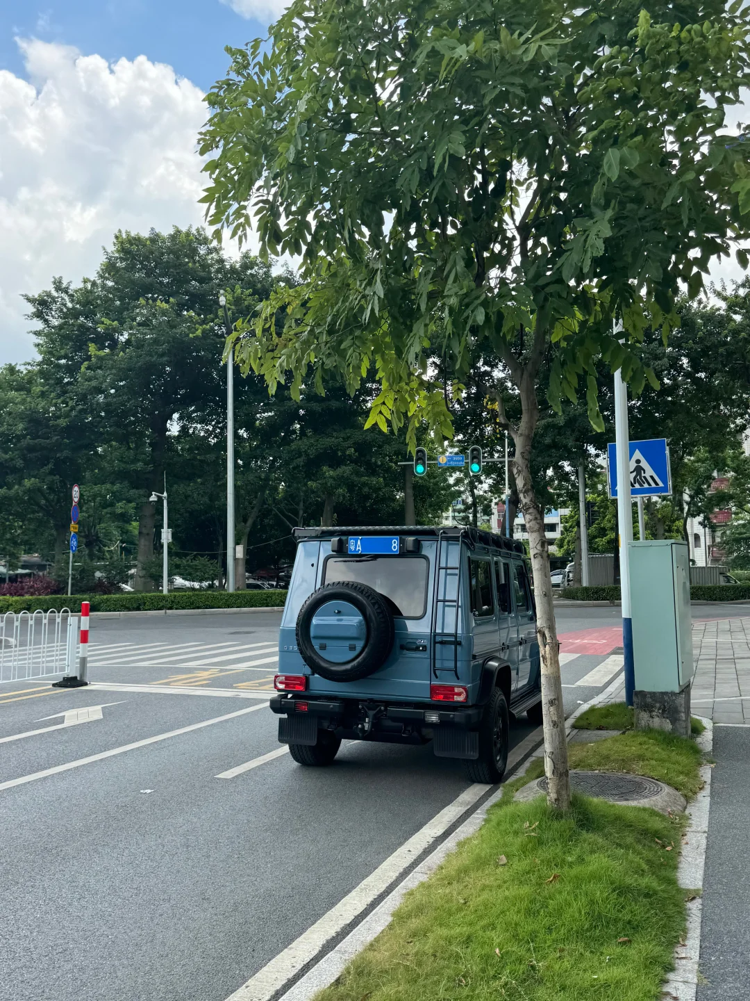 随手拍｜我说怎么这么好看呢