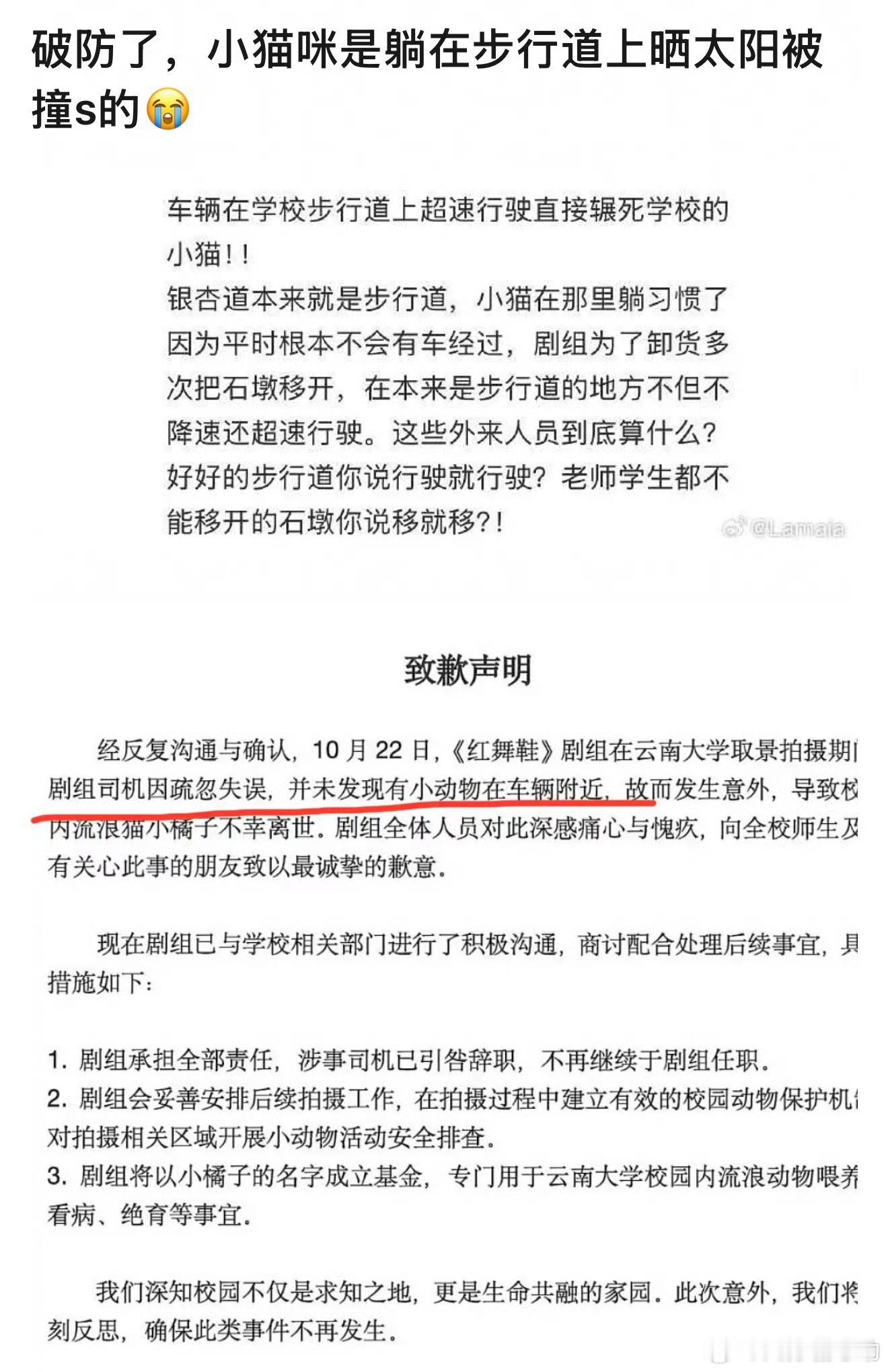 红舞鞋剧组删除致歉声明太傲慢了，事情发酵这么大，道歉完还删了，不会删了之后就开始