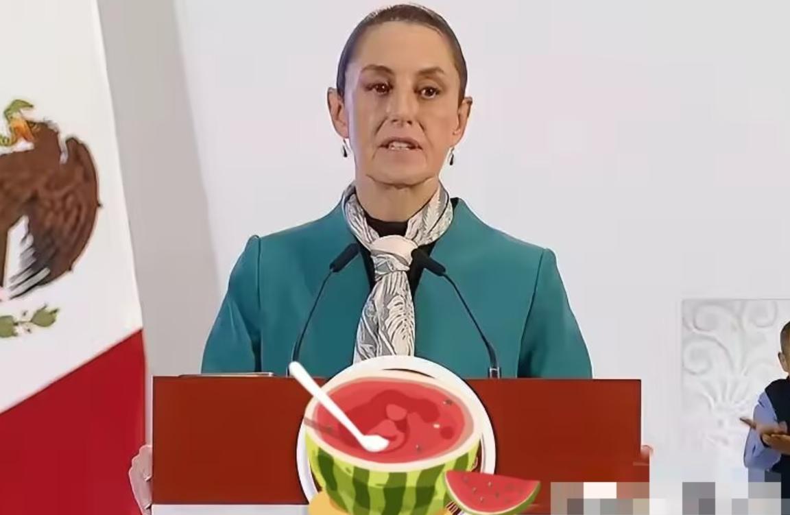 既然给脸不要脸，那就准备接招！
北京驻墨使馆的怒斥，只是第一声发令枪。
中国这次