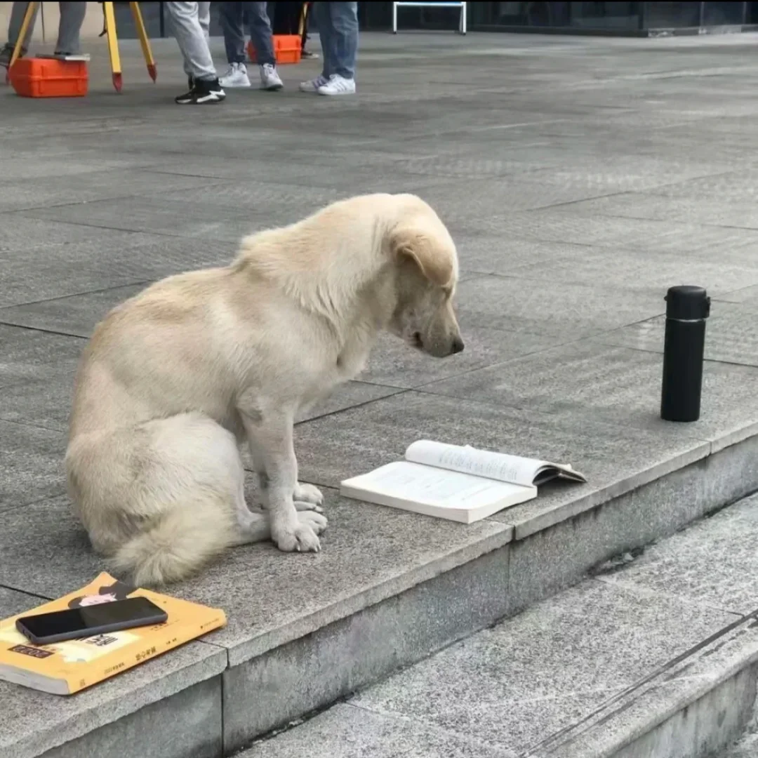 十月才开始准备考研作文啊啊啊