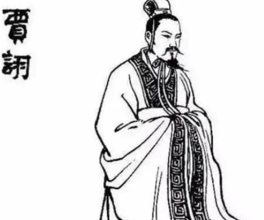 214年，毒士贾诩正在家中会客，突然得到消息谋士荀攸病逝，贾诩脸色大变，赶忙撵走