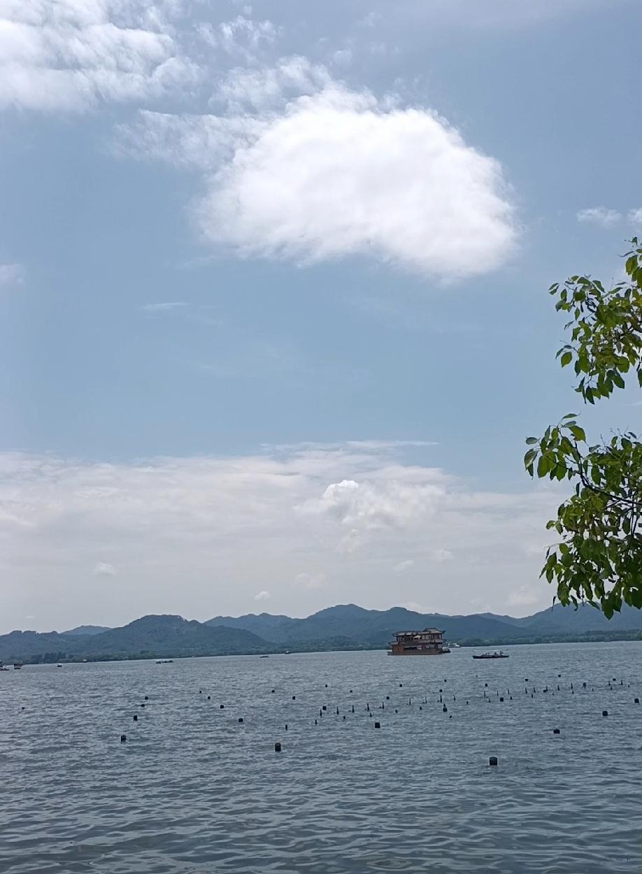 我认为该。男人必须要分担家务。男人如果工作特别忙，应该把相当于雇保姆的钱拿出来，