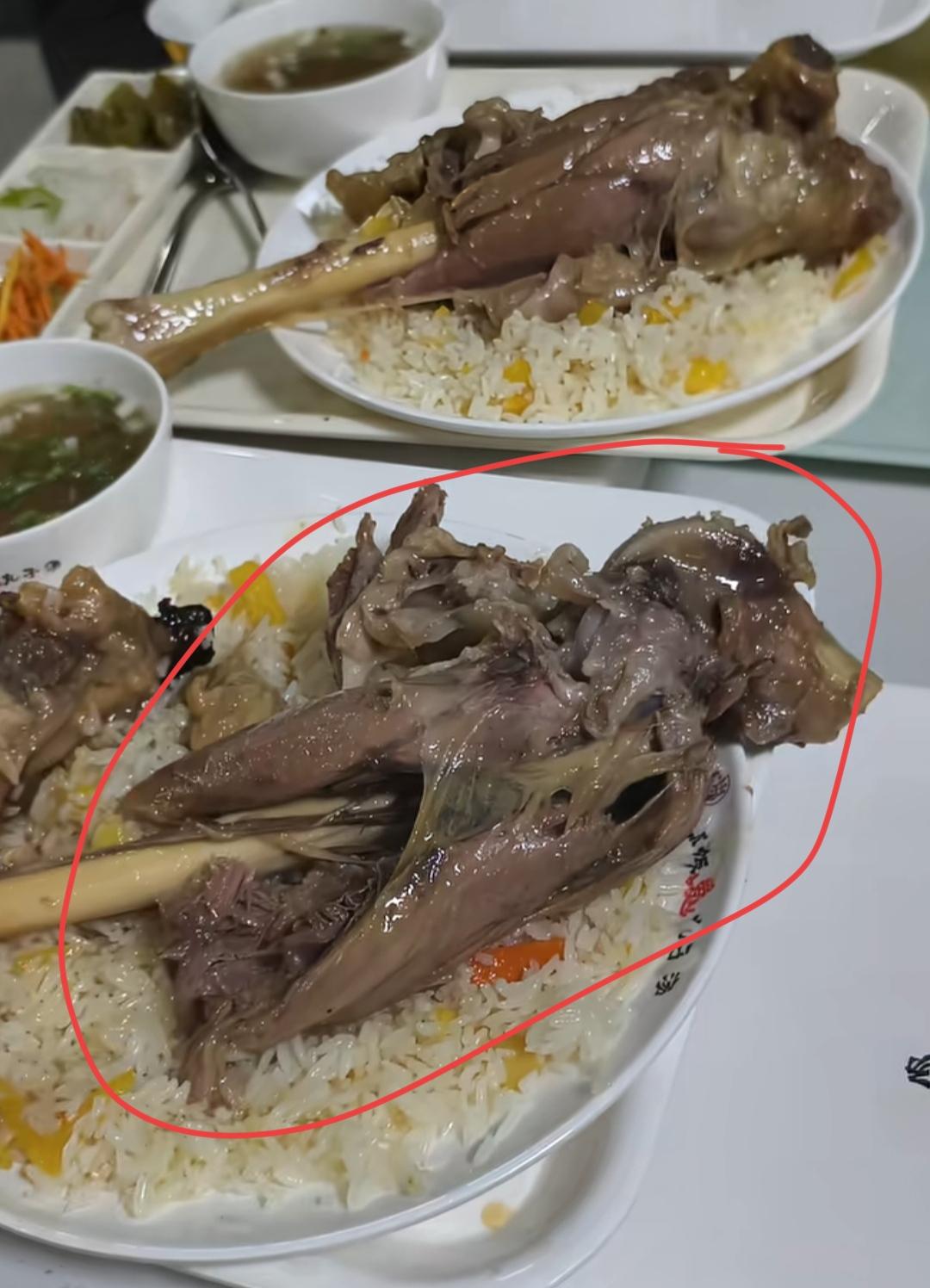 一盘米饭加肉🥩，看起来真香！我想问一下大家，这是什么肉？是狗🐶肉吗？