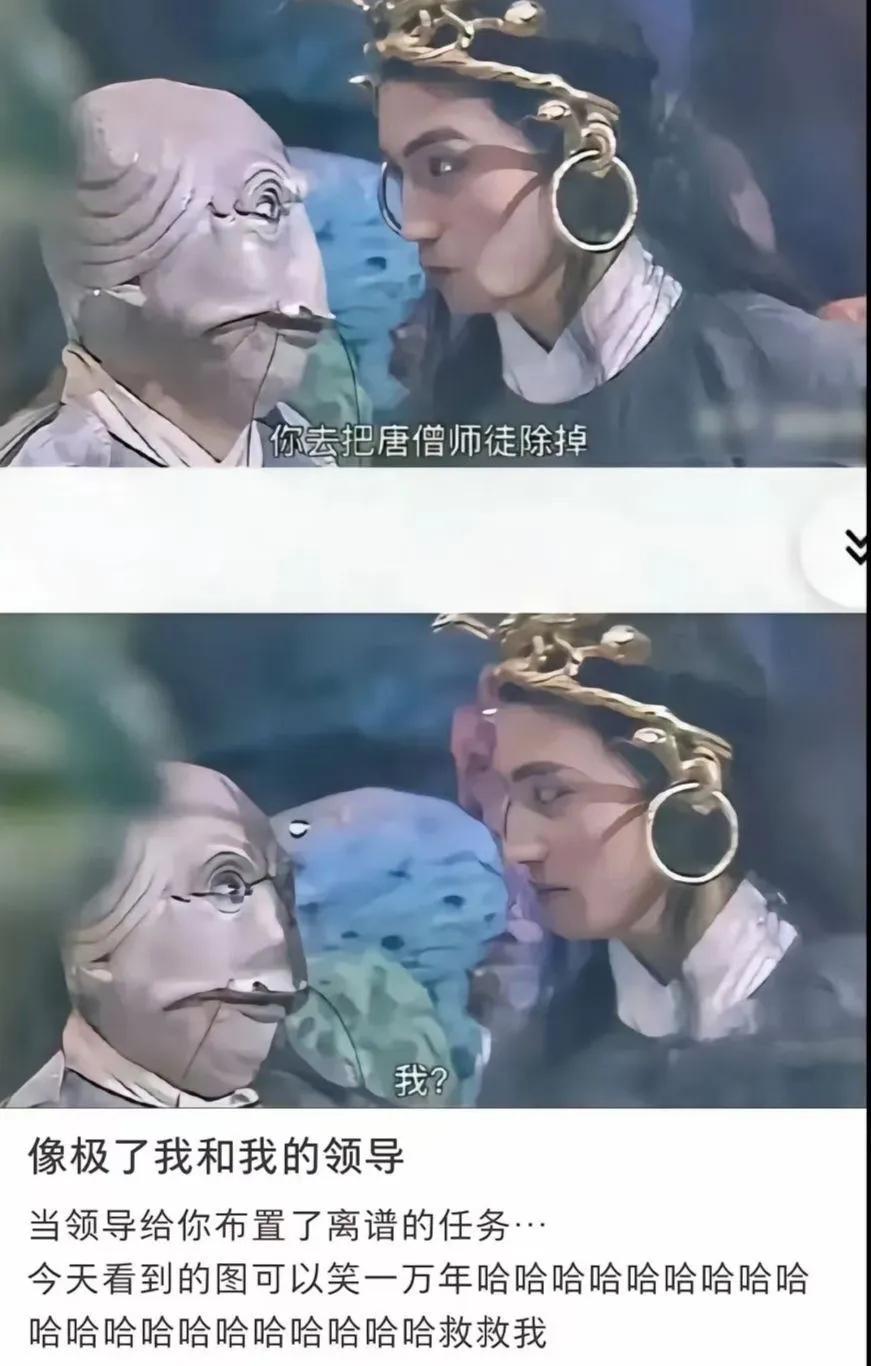 当领导给你布置了离谱的任务哈哈哈哈哈哈哈  