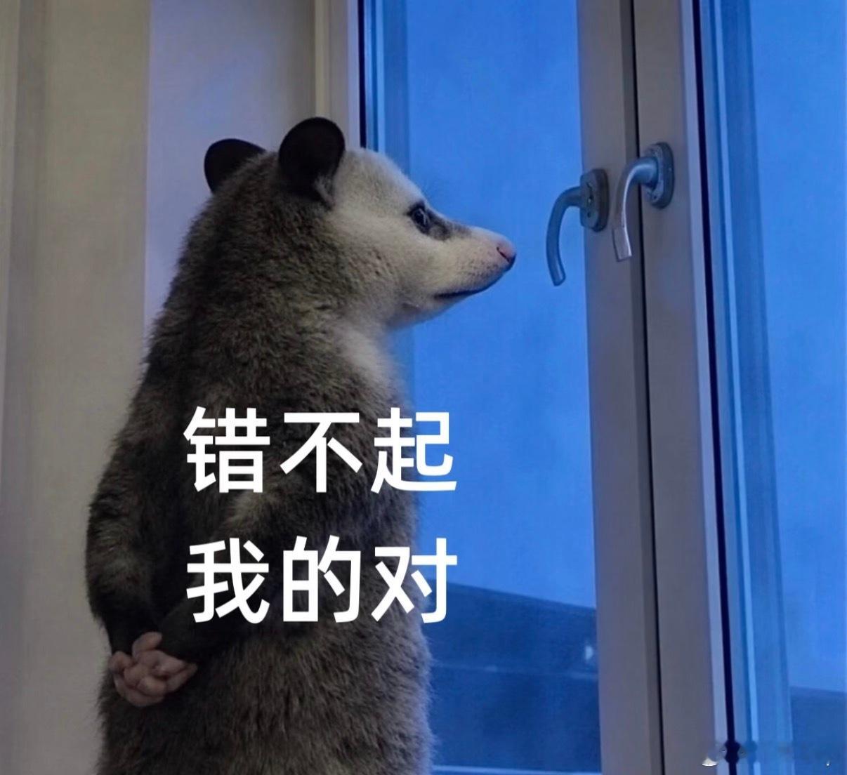 GPT全部搞砸只需要一句对不起 这下知道什么叫真正的情绪稳定了，事情做得一塌糊涂