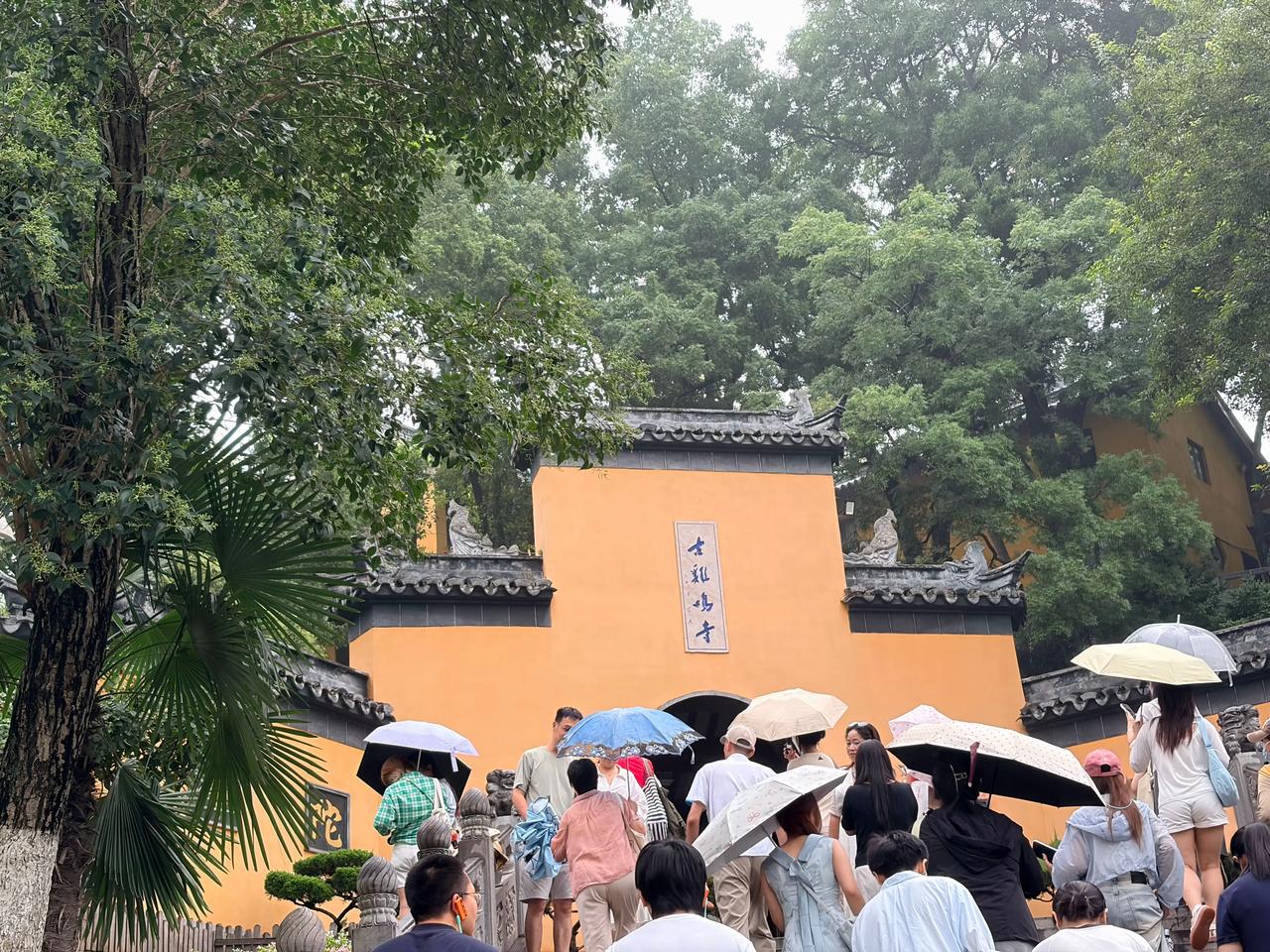 总要来趟南京吧南京风光打卡江苏南京旅行