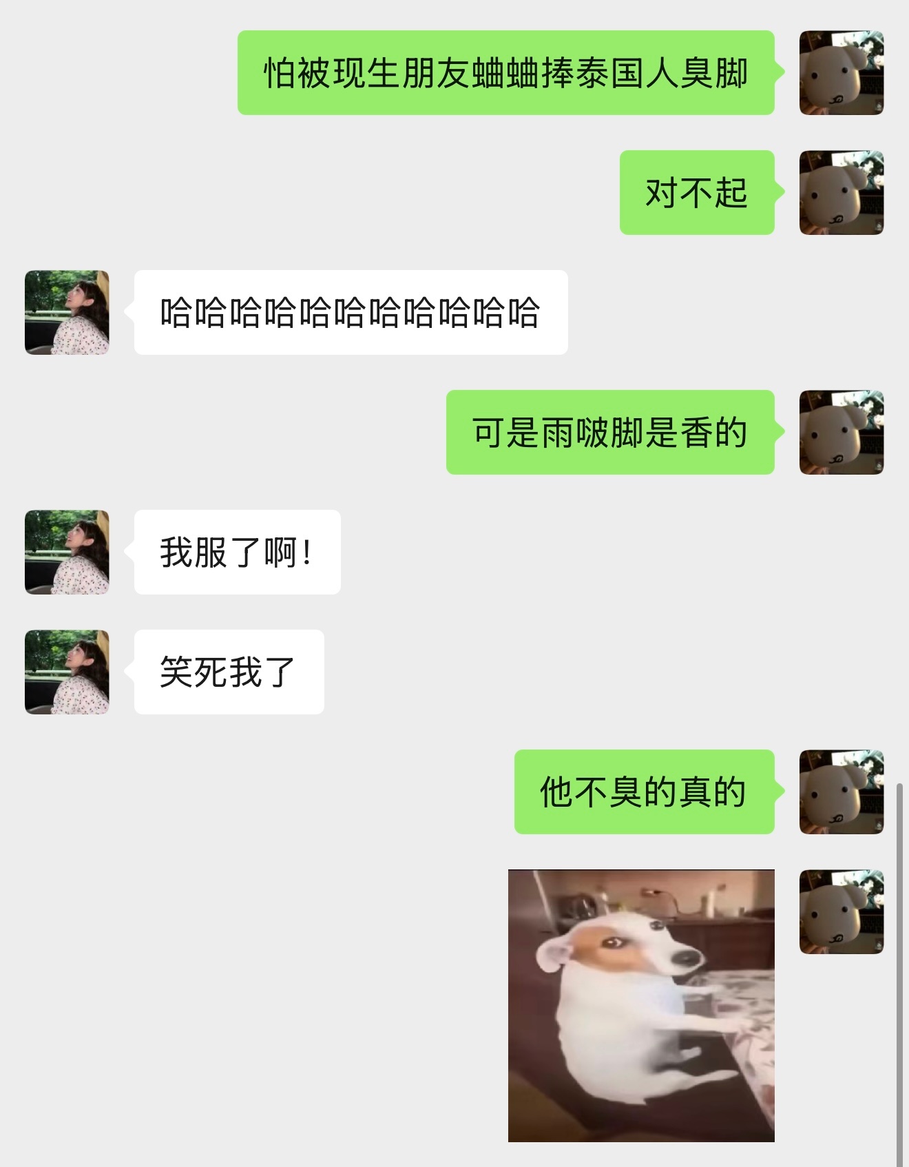 我就这样[柯基] ​​​
