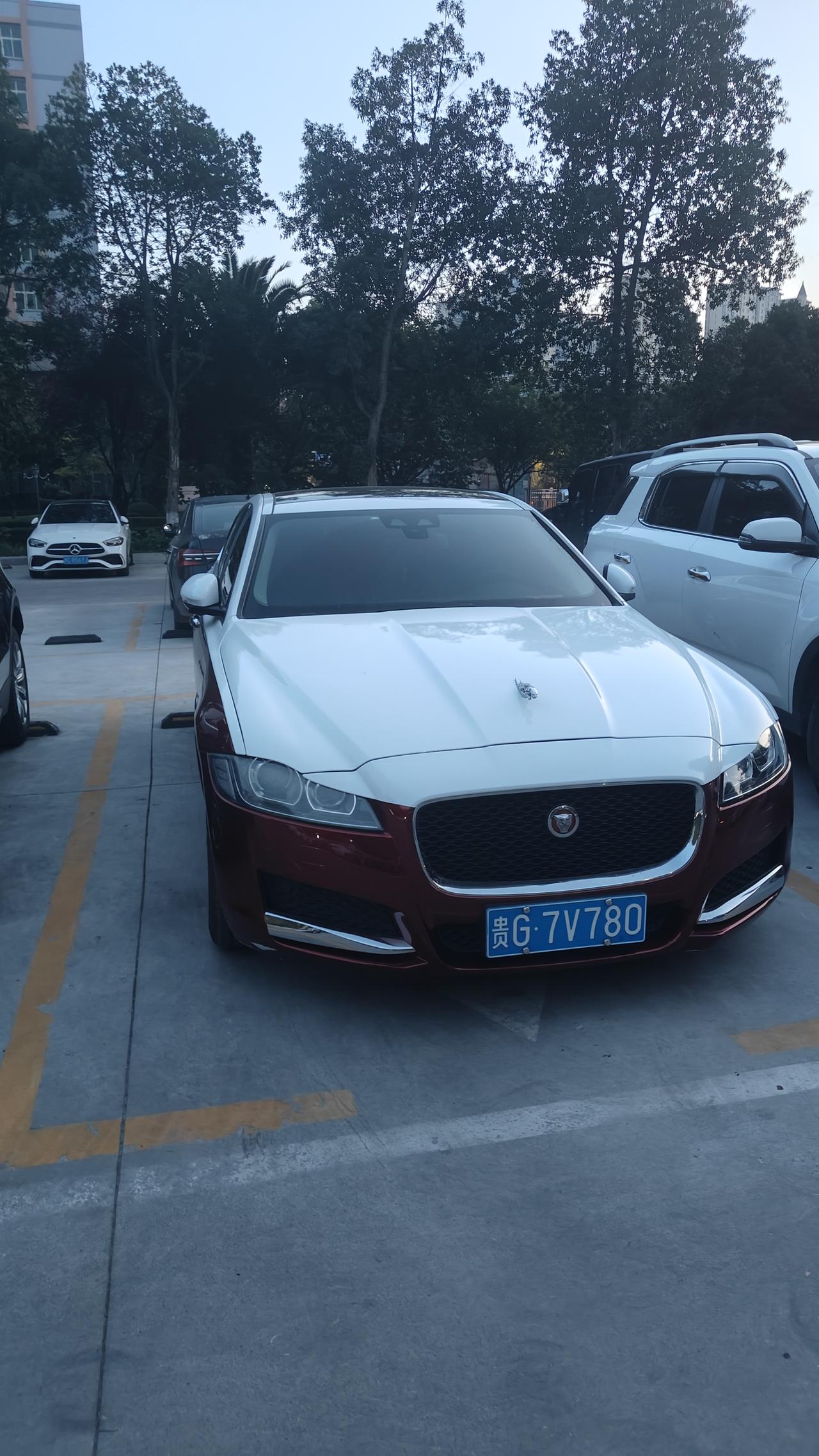 终于见到豪车了