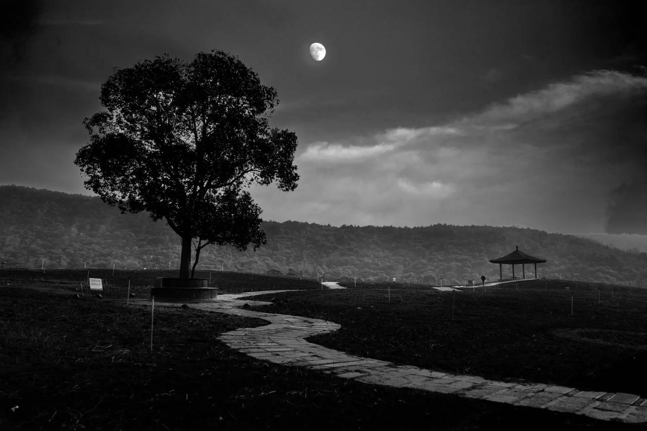 分享一张夜晚的随手照片