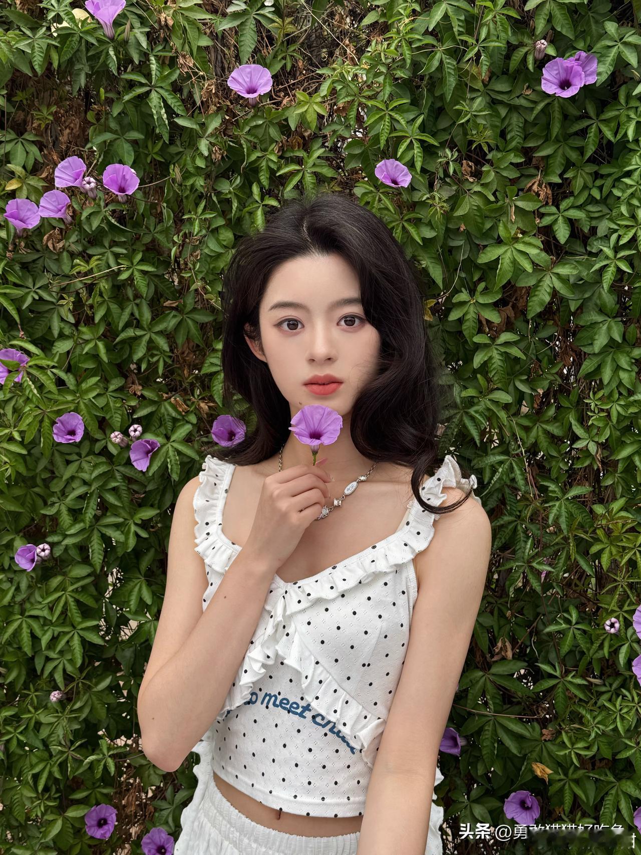 黄杨钿甜分享图片