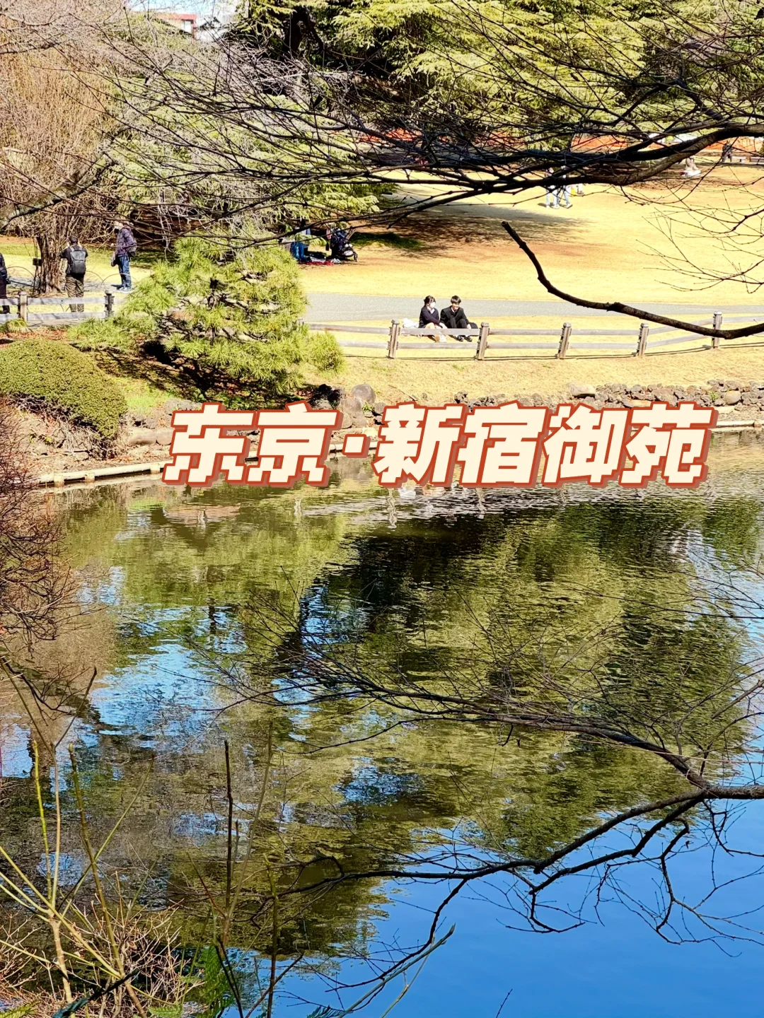 新宿御苑公园3月5日现状