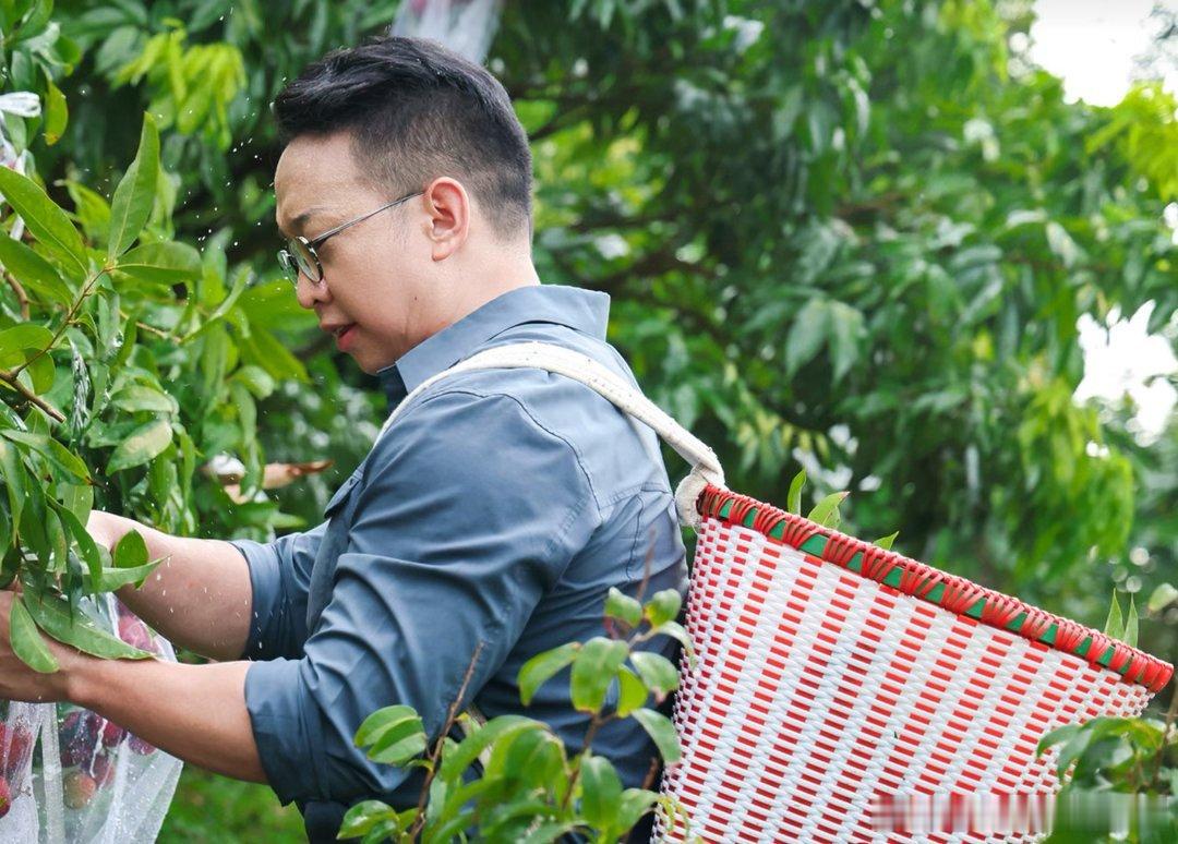 珠海荔枝鲜到西安人还没登机珠海荔枝先坐上头等舱 今年荔枝珍稀如艺术品，配得上这趟