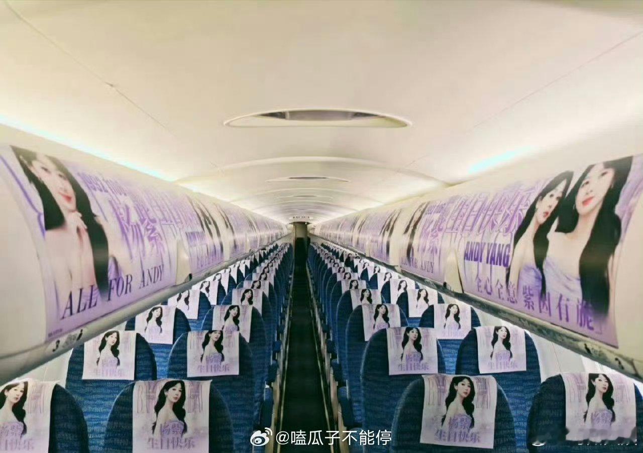 杨紫生日包机应援排面杨紫生日应援排面杨紫生日包机应援排面，厉害了， ​​​