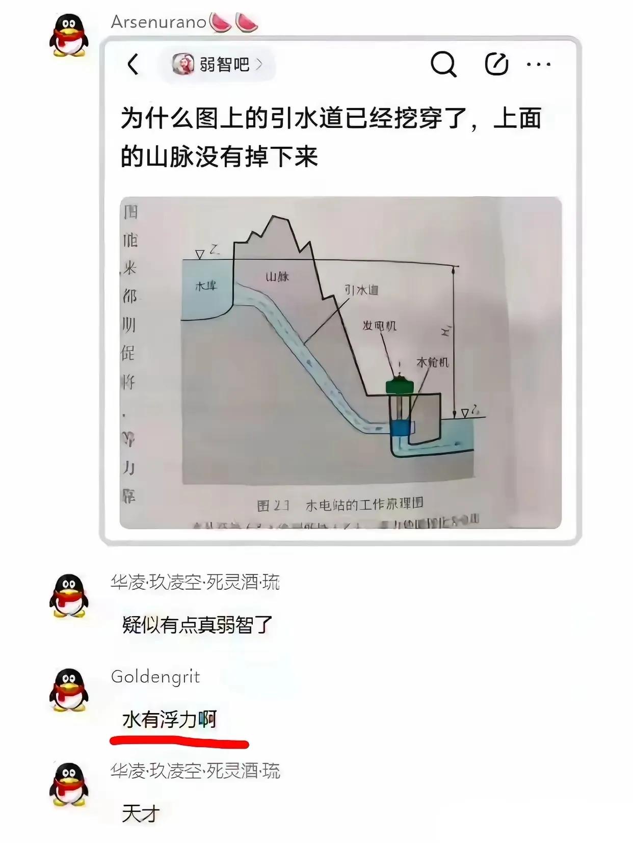 你别说，他们俩还真是又只有文化的，你看他懂浮力。