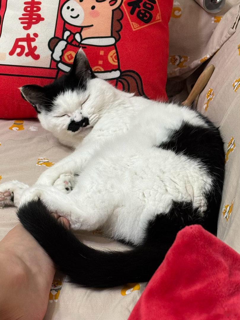 晚安💤 