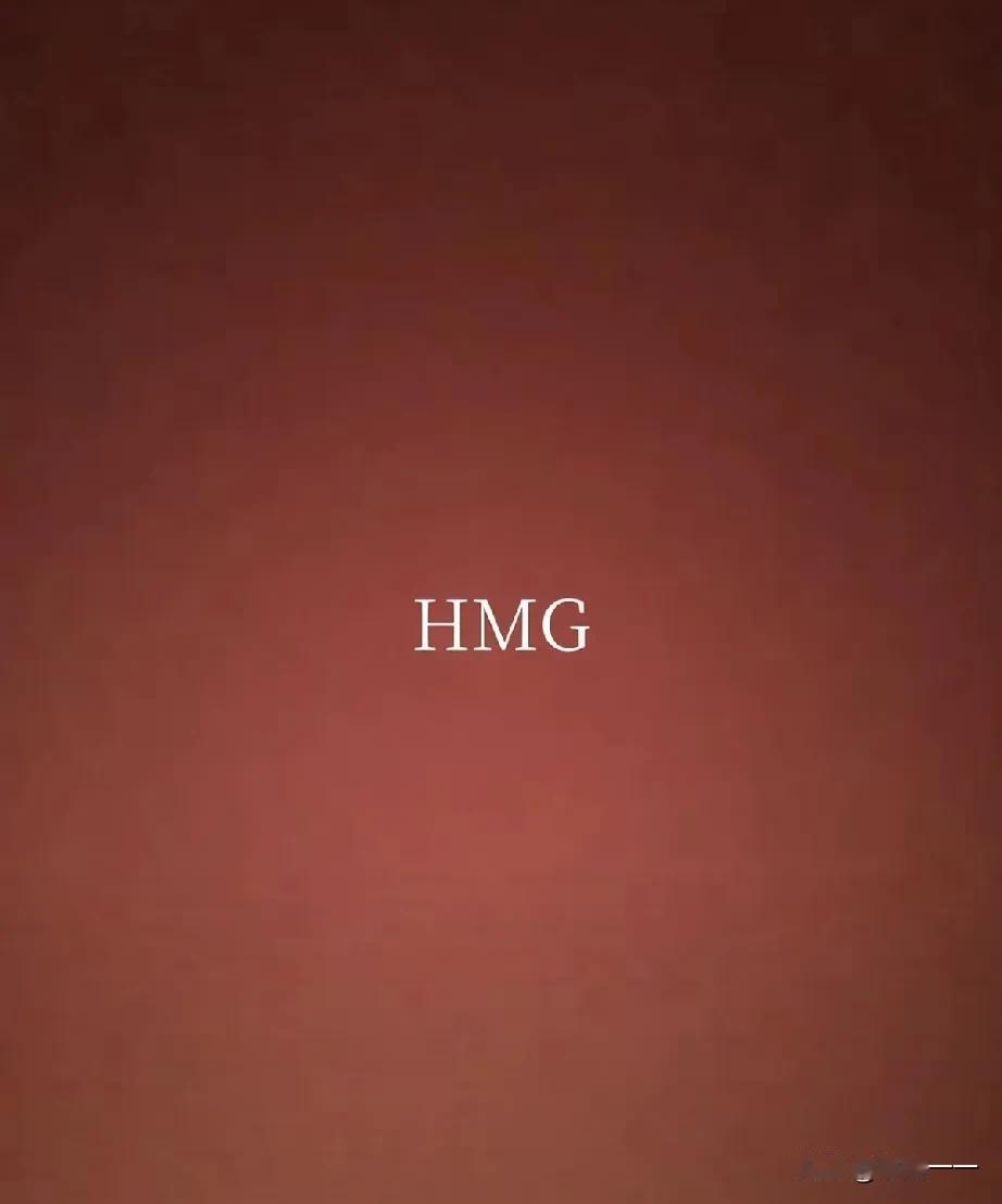 “有懂行的不？HMG代表啥意思”[捂脸]？
原来河南电视台台标换了，换成3个英文