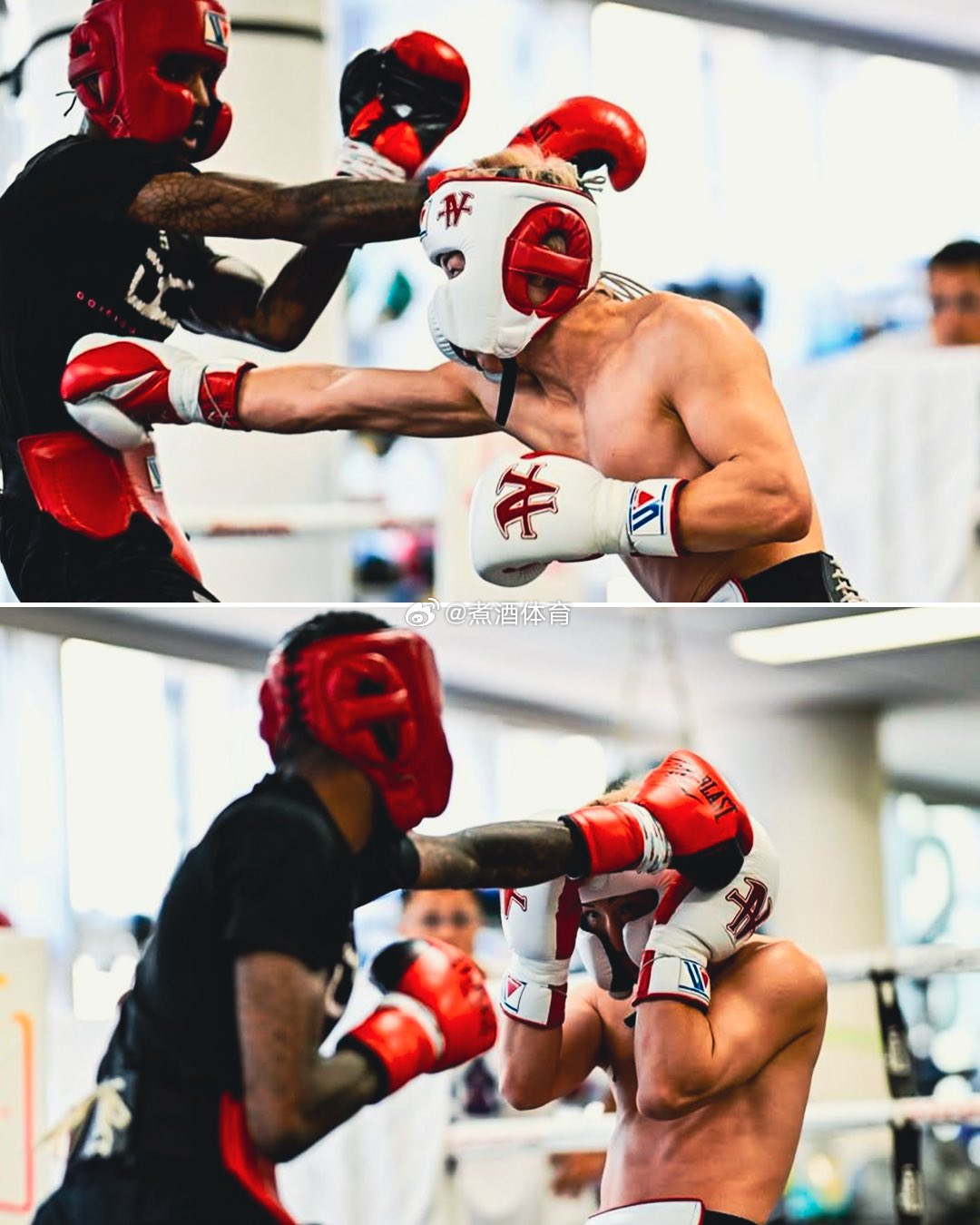 拳坛速递 井上尚弥（Naoya Inoue）备战。煮酒今日拳击