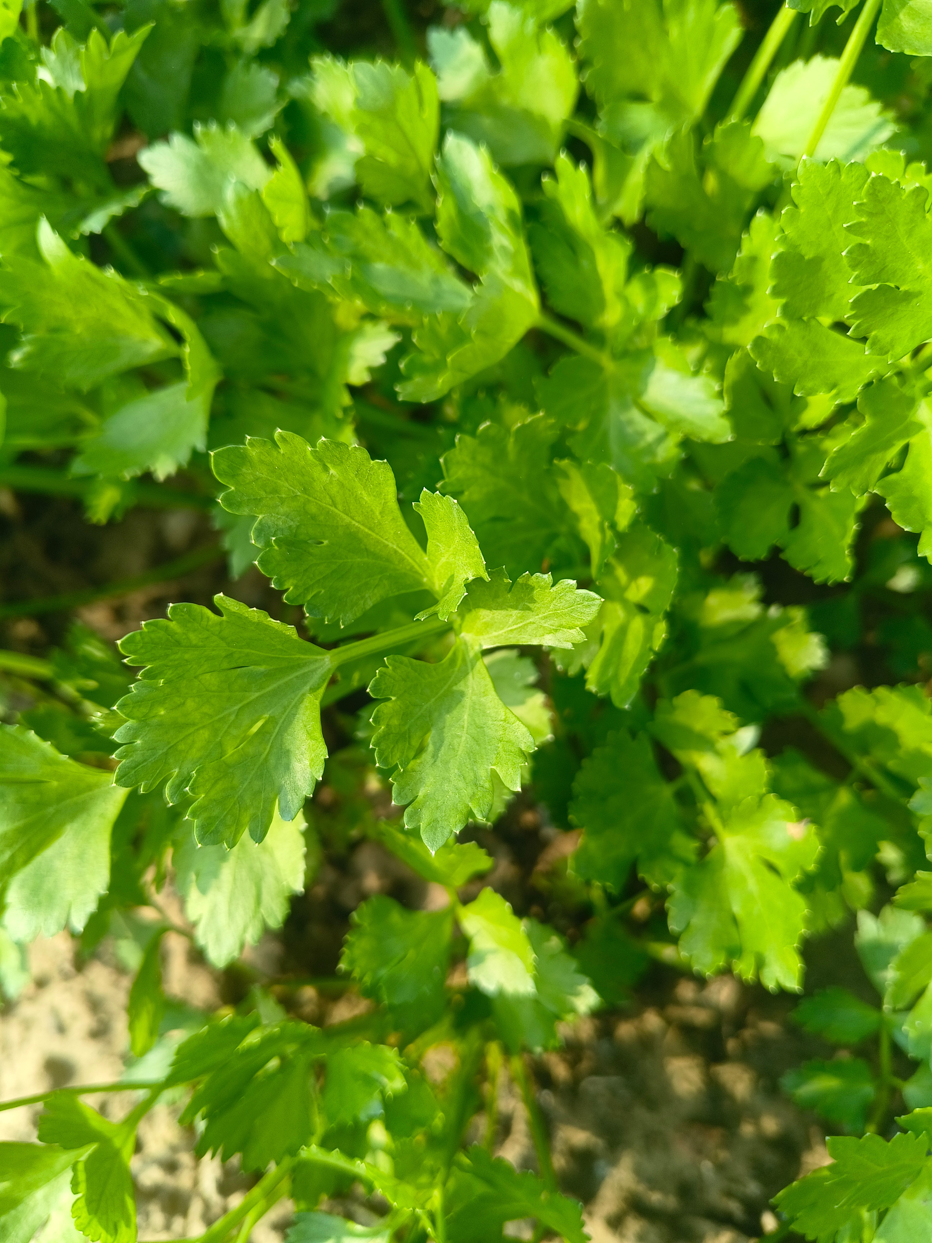 人这一生，小学一走就是一天，初中一走就是一周，高中一走就是一个月，大学一走就是半