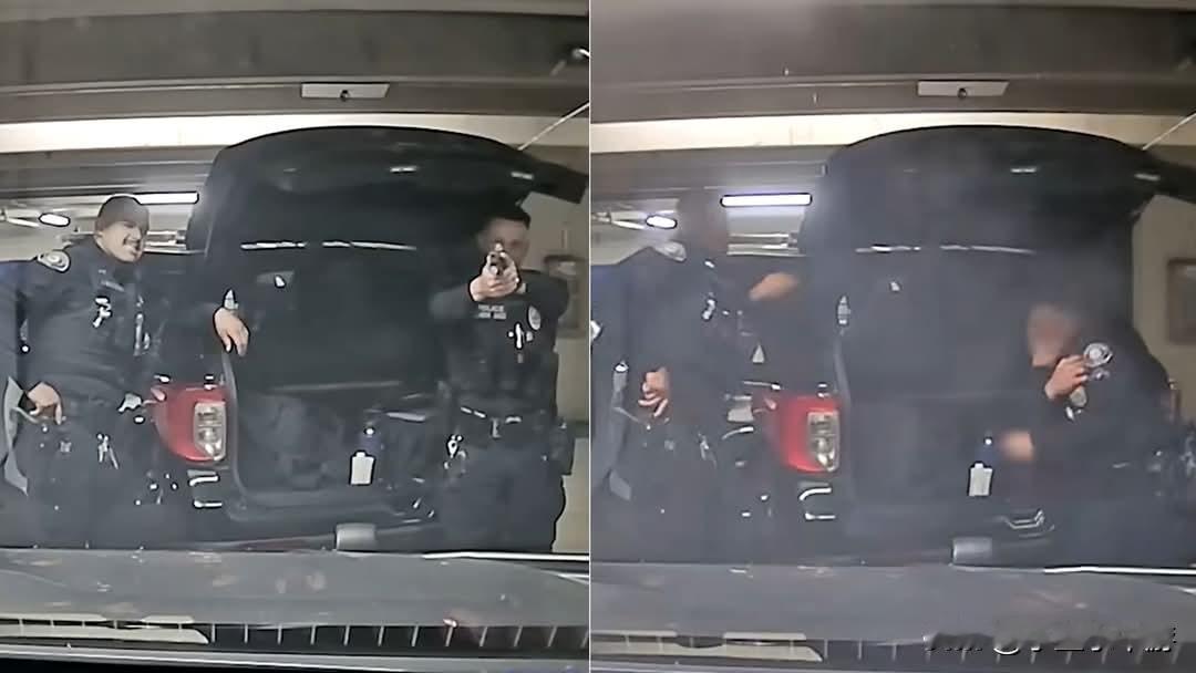 美国两名警员拔枪玩闹不慎走火，导致一人肩部中弹受伤。误伤同僚的警员事后被解雇。当