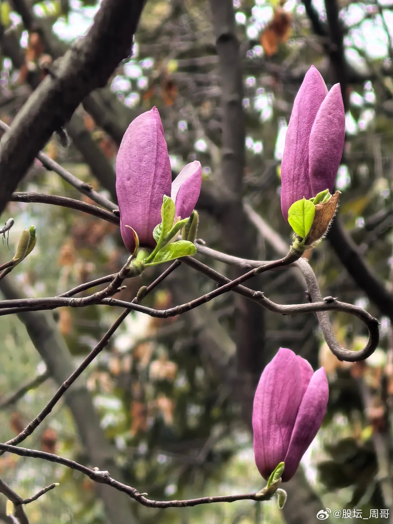 ●题材方面——❏𝟭 电力：“算电协同”首次写入政府工作报告，明确列为新基建工程