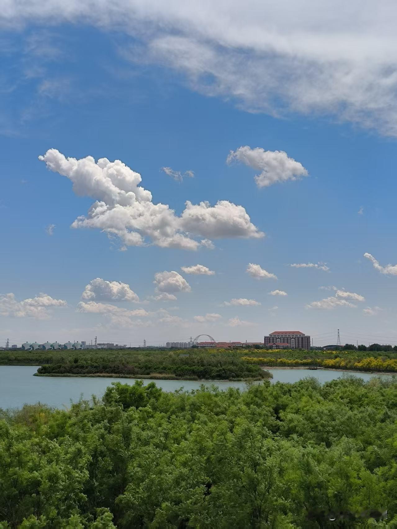 昨天下过雨后，今天上午是晴空万里，白云朵朵，天空的景象真是壮观漂亮。
本来想发美