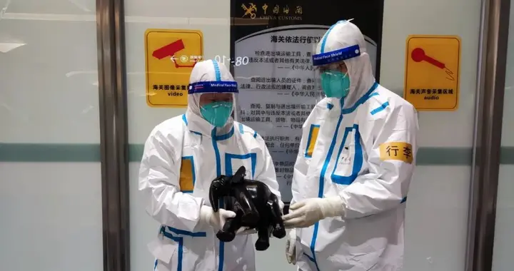 通体全黑！武汉海关查获濒危物种制品