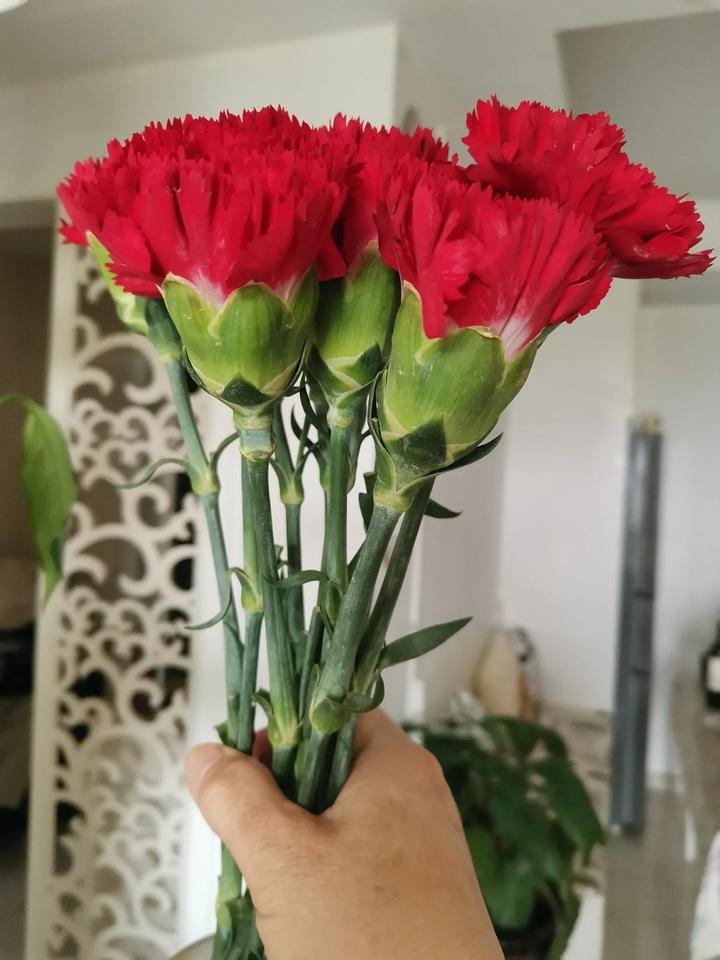 今天是母亲节我觉得也是感恩节

因为没妈了就没家了，小时候妈就是家，家就是妈，我