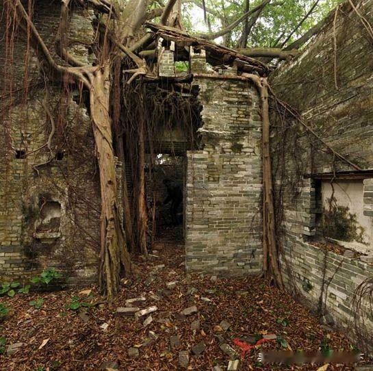 “不结婚，不买房。唯一牵挂的只有父母！送走他们我还要信用干什么？”这样心态的年轻