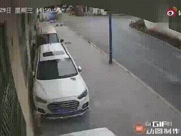 一名女子骑电动车带着小狗出门，但她没有给小狗拴绳，而是直接把小狗放在电动车的踏板