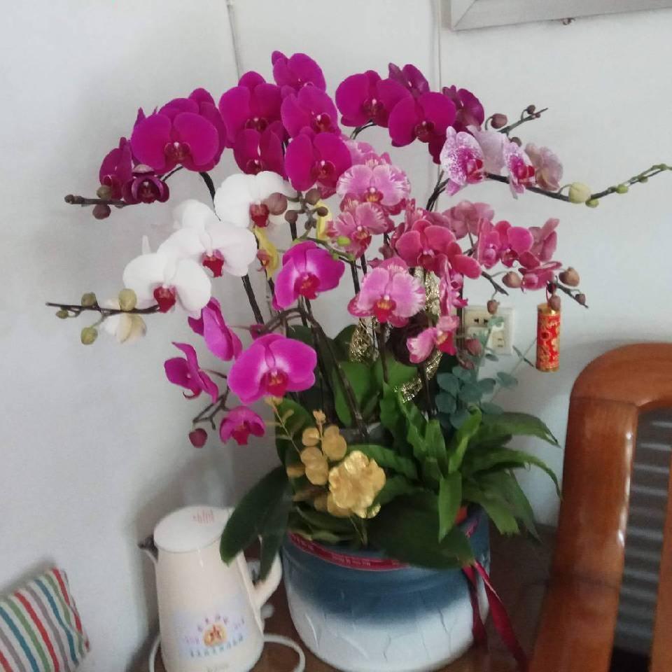 言语换个分寸，结局便两样，好好说话是处世最便宜的修养。