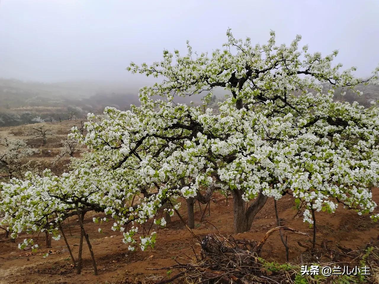 平时要多留心，还要多拍照，积累素材和经验，有感而发！