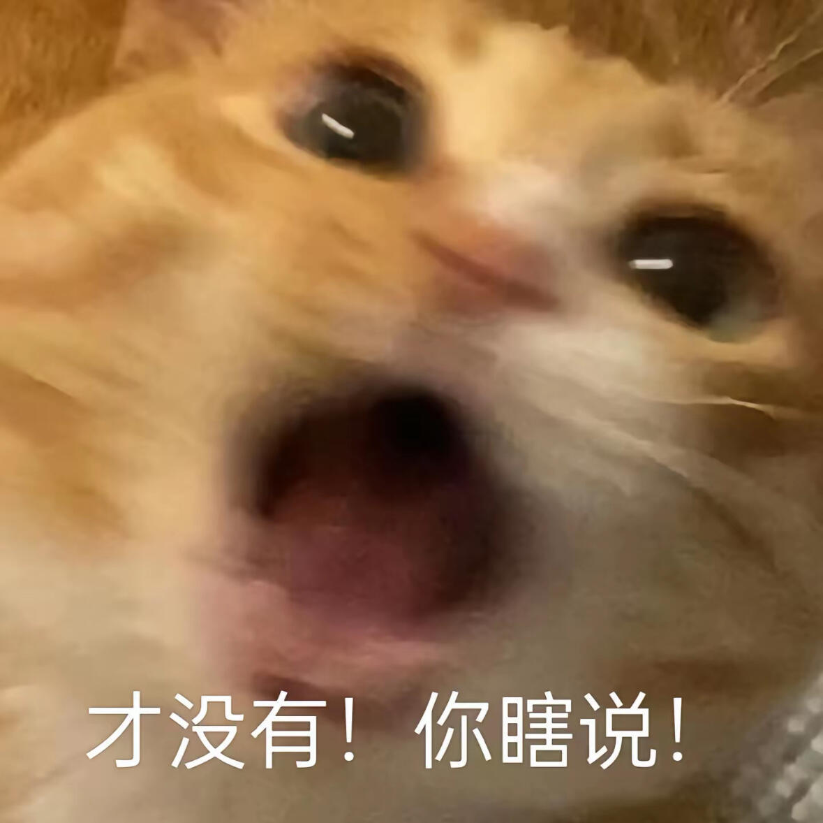 吴宣仪[超话] wxy吴宣仪乘风2025 是这样的 大家今天就先直接看这张图吧 