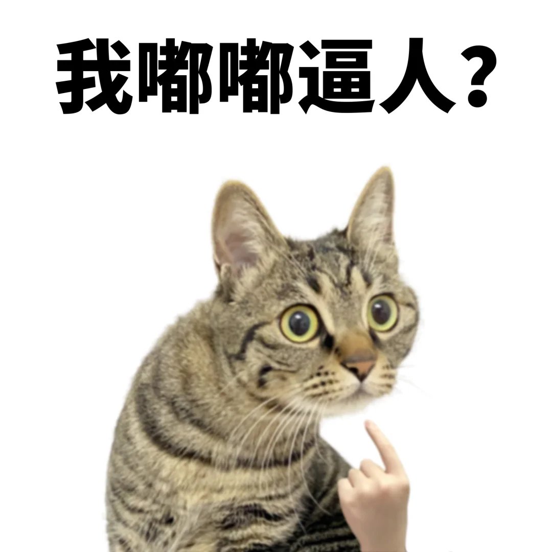 低脂小猫聊天表情包