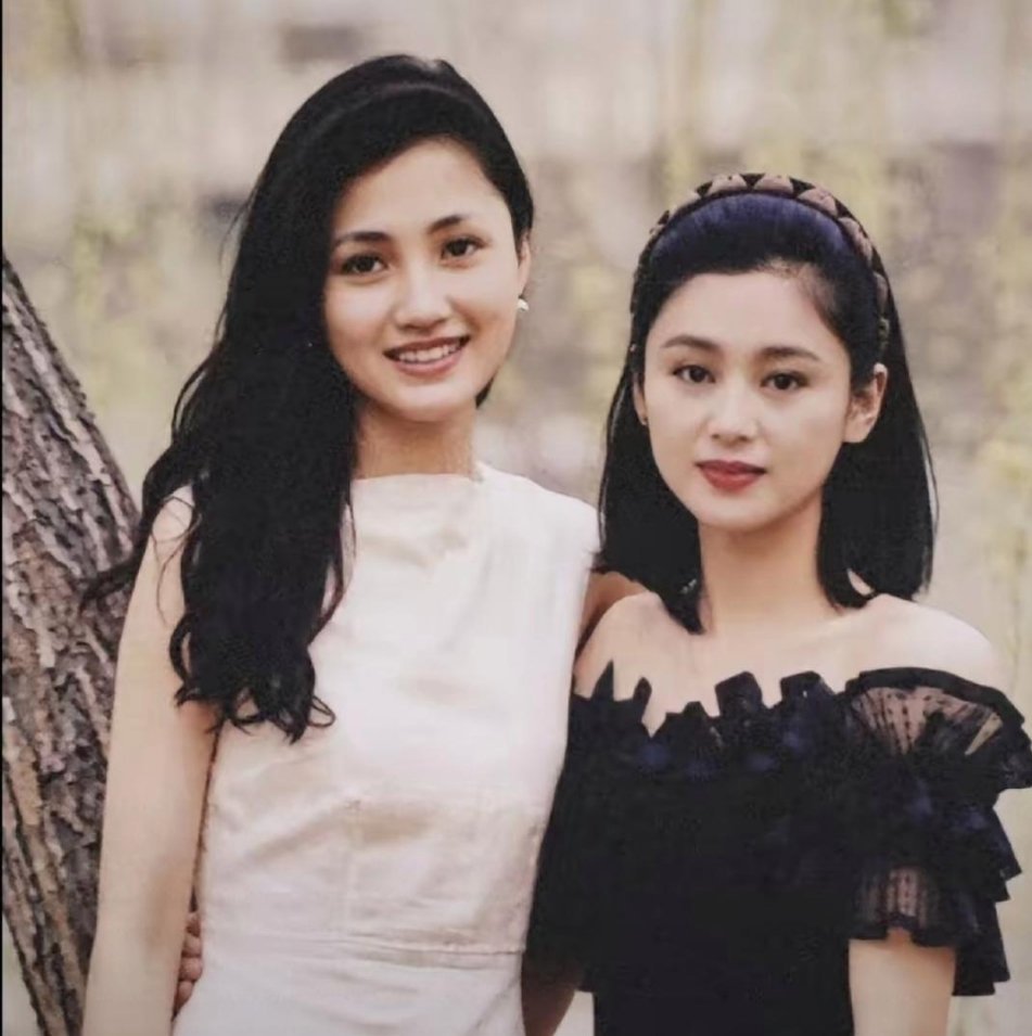1991年的林芳宾和陈红，真是太养眼了 